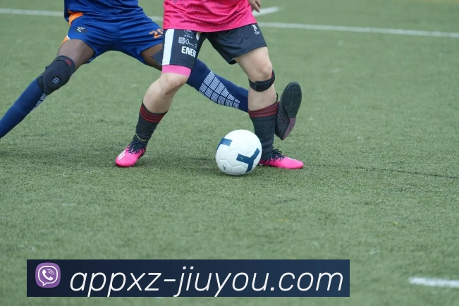 九游娱乐平台生态图